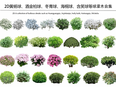 Modern shrubs model