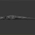 Crocodile Alligator Nile Crocodile carnivore reptile cold-blooded animal reptile 3d model