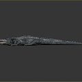 Crocodile Alligator Nile Crocodile carnivore reptile cold-blooded animal reptile reptile 3d model