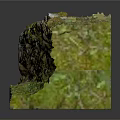 Rustic Wood and Stone Decorative Slab with Natural Green Mossy Surface