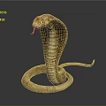Realistic Brown Cobra With Hooded Neck Flicking Red Tongue On Dark Background