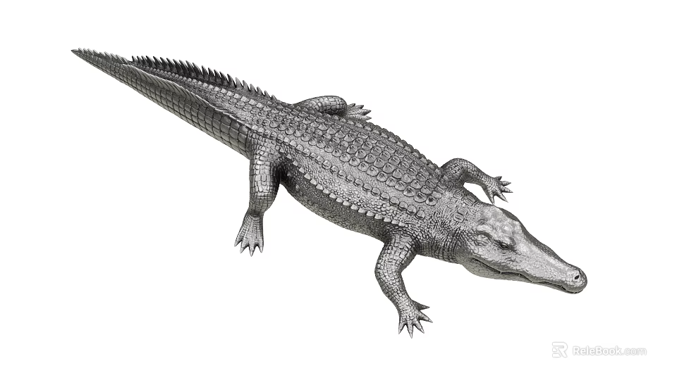 Realistic Crocodile 3D Model With Detailed Scaled Skin And Body Structure 3d model 