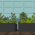 Bonsai Potted Plants In Black Rectangular Planters With Various Green Foliage 3d model