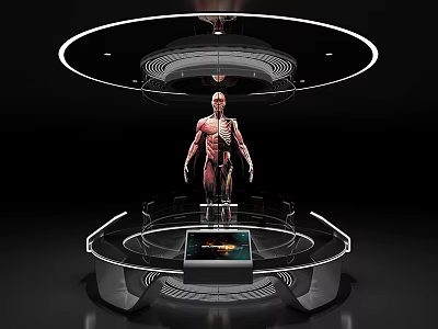 Exhibition Hall Exhibition Booth Interactive Table Human Body Structure Medical Health Multimedia Interactive Exhibition Holographic Projection 3d model
