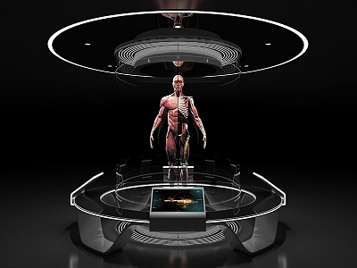 Exhibition Hall Exhibition Booth Interactive Table Human Body Structure Medical Health Multimedia Interactive Exhibition Holographic Projection model