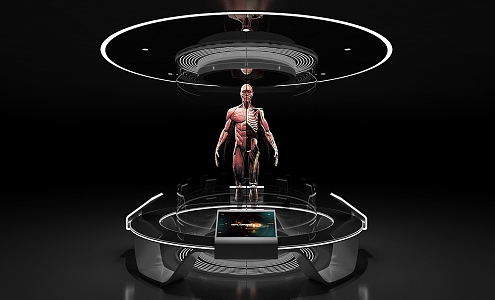 Exhibition Hall Exhibition Booth Interactive Table Human Body Structure Medical Health Multimedia Interactive Exhibition Holographic Projection 3d model