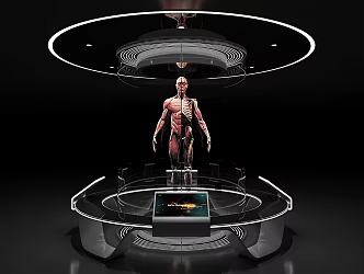 Exhibition Hall Exhibition Booth Interactive Table Human Body Structure Medical Health Multimedia Interactive Exhibition Holographic Projection 3d model