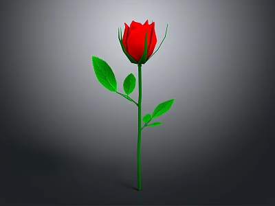 Red Rose Plant With Green Stem Fresh Leaves On Gray Background 3d model