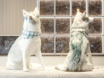 Two Sitting Dogs With Plaid Scarf And Harness By Frosted Glass Window 3d model