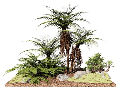 Palm Plant Pukui Iron Tree Stone Courtyard Plant Courtyard Plant Sick Dry Landscape Plant Combination Arbor Shrub 3d model