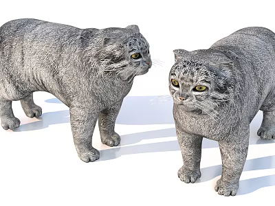 Two Gray Fluffy Cats Standing Facing Each Other On White Background 3d model