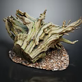 Lush Green Plants Growing On Weathered Driftwood With Natural Gravel Base