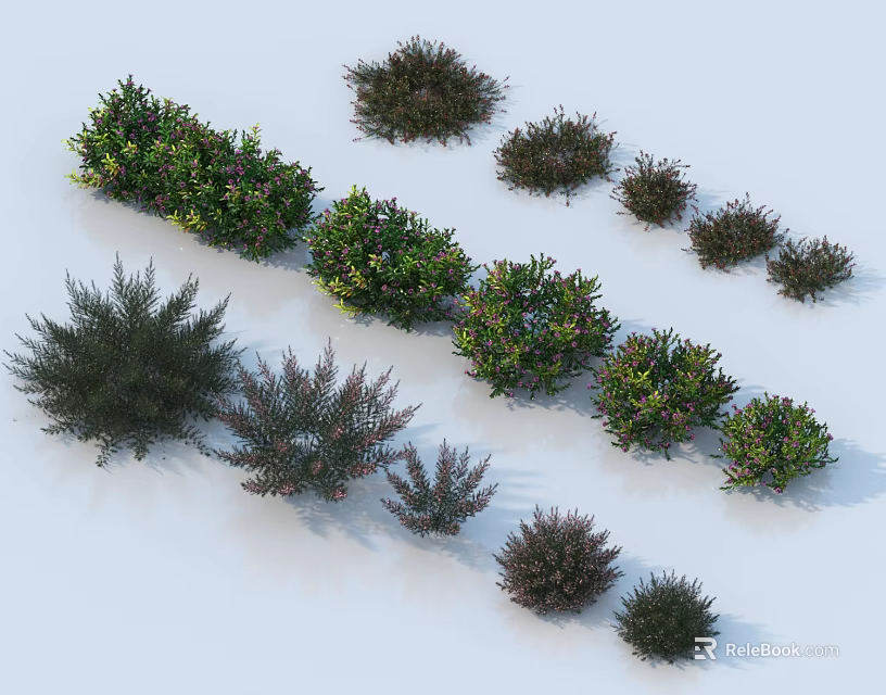 Diverse Shrub Collection With Various Shapes And Green Purple Foliage On White Background 3d model 