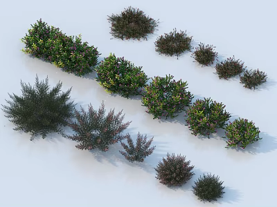 Diverse Shrub Collection With Various Shapes And Green Purple Foliage On White Background 3d model