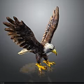 Eagle Statue With Spread Wings White Head Yellow Beak And Yellow Talons On Dark Background