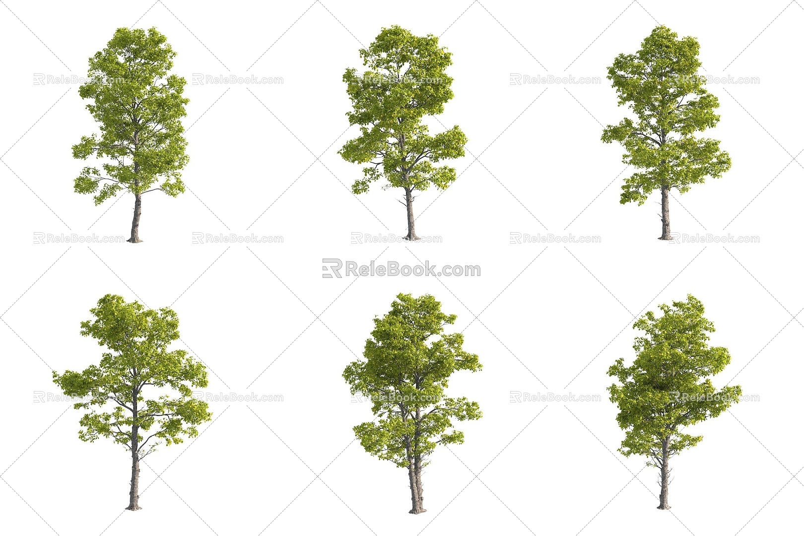 Cotinus coggygria landscape trees trees street trees 3d model