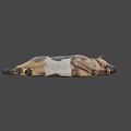 Realistic 3D Rendered Brown White Dog In Dynamic Running Pose 3d model