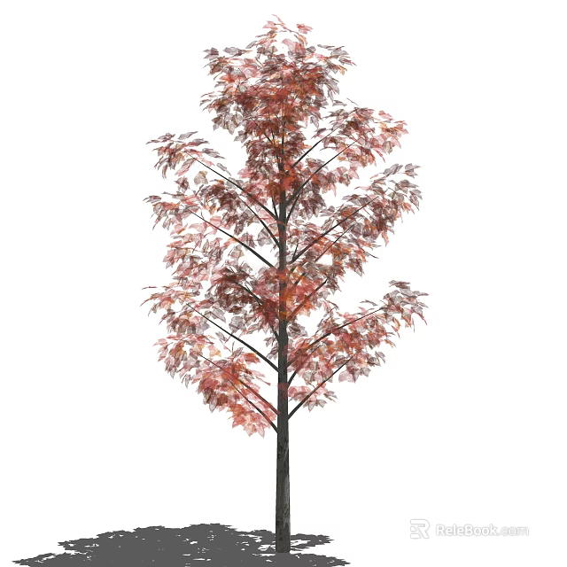 Ornamental Arbor With Red Autumn Leaves And Strong Branch Structure 3d model 