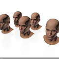 Male Bald Head Models With Different Angles And Expressions On White Surface