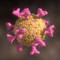 Modern virus Coronavirus 3d model