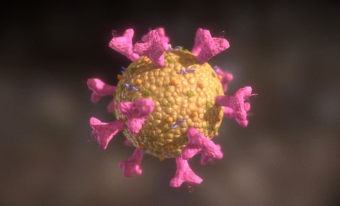 Modern virus Coronavirus 3d model