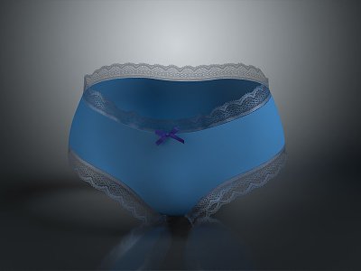 Panties Briefs Boxers Shorts Pants Trousers Men's Pants Women's Pants Clothes Clothing 3d model