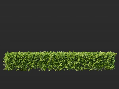 Lush Green Shrub Hedge with Well Trimmed Foliage for Garden Landscaping 3d model