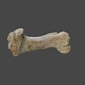 Weathered Animal Bone With Greenish Patina And Natural Surface Texture