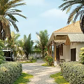 Tropical Garden Landscape With Palm Trees Lawn Stone Path And House