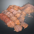 Natural Reddish Brown Rock Specimens With Rough Surface And Color Layers