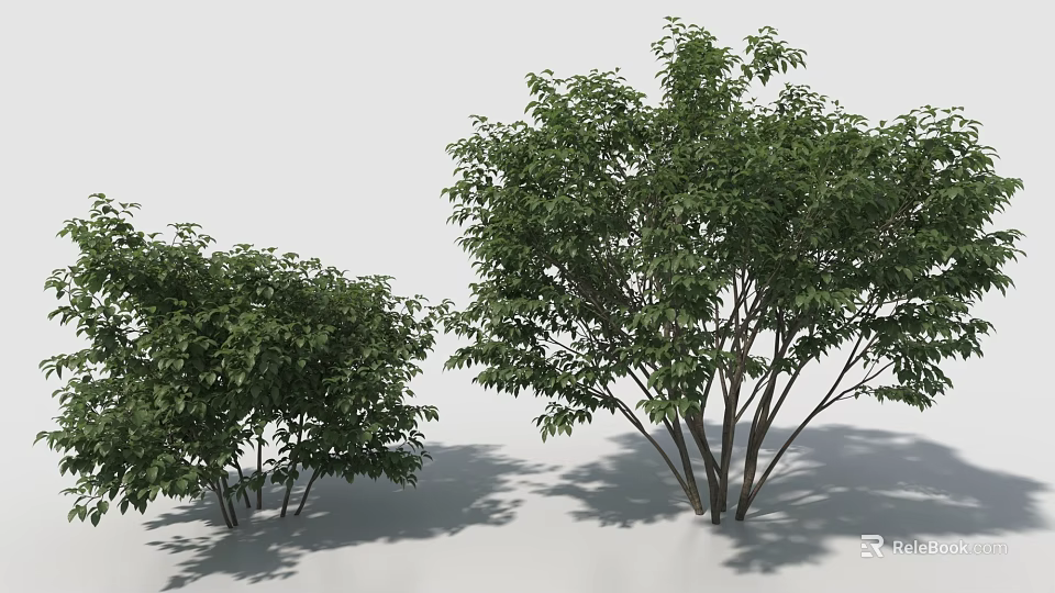Lush Green Shrubs In Garden Landscape With Healthy Foliage And Natural Growth 3d model 
