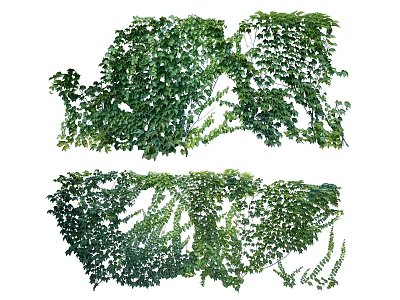 Lush Arbor Vines with Dense Green Leaves for Decorative Landscaping Projects 3d model