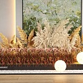 Reed Plant Landscape Sketches Wheat Ear Dried Flower Pennisetum Plant Combination 3d model