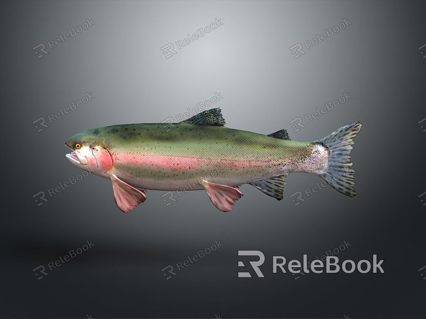 Catfish Carp Sturgeon Bass Freshwater Fish Various Carp Grass Carp Crucian Carp model