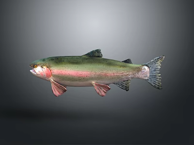 Decorative Fish Figurine Home Decor Ornament With Green Pink Silver Color Design 3d model