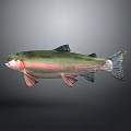 Decorative Fish Figurine Home Decor Ornament With Green Pink Silver Color Design