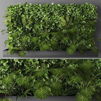 Plant wall 3d model