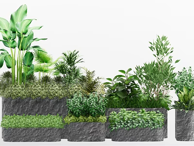 Various Bonsai Potted Plants With Lush Green Foliage And Stone Planters 3d model