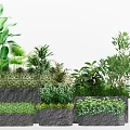 Various Bonsai Potted Plants With Lush Green Foliage And Stone Planters