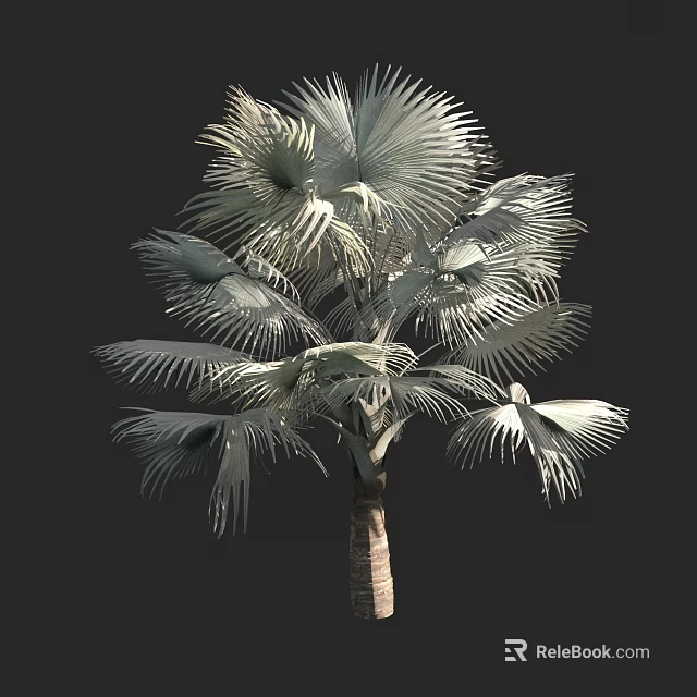 Tropical Palm Tree With Large Fronds And Tall Brown Trunk 3d model 