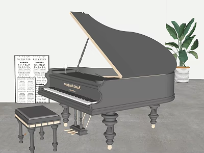 Elegant Black Grand Piano With Bench Sheet Music And Green Plant 3d model