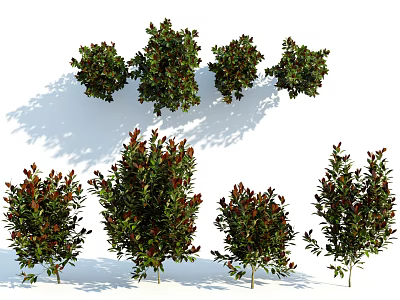 Various Garden Shrubs With Green And Red Foliage For Landscaping Design 3d model
