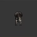 Realistic Triceratops Dinosaur Model With Large Horns Frilled Head And Spiked Back