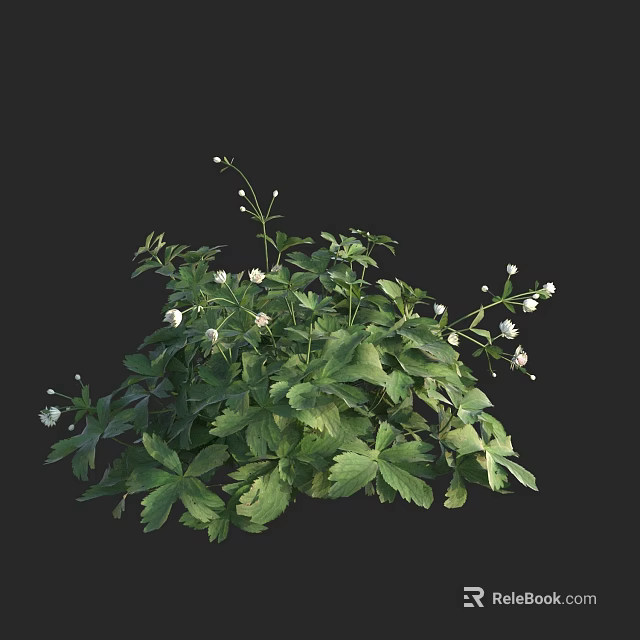 Lush Green Plant with Abundant Green Leaves and Small White Flowers 3d model 