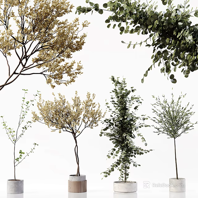 Bonsai Potted Plants With Golden Green Leaves Various Branch Shapes For Home Decor 3d model 