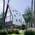 A Frame Residential Building in Forest with Large Glass Windows and Greenery