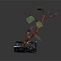 Decorative Potted Plant With Curved Brown Trunk Green Leaves And Black Marble Base