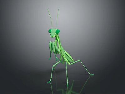 3D Green Mantis As Flying Animal On Gray Background With Reflective Surface 3d model