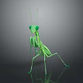 Modern Mantis Cartoon Mantis Animation Mantis Knife 3d model