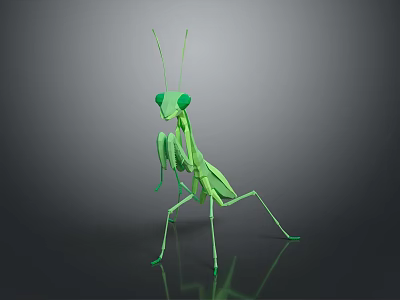 Modern Mantis Cartoon Mantis Animation Mantis Knife 3d model